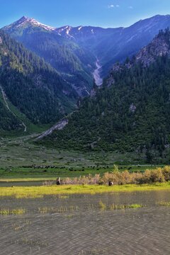 The Beauty Of Kashmir 