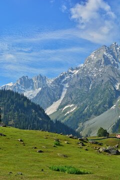 The Beauty Of Kashmir 