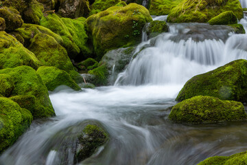 Fototapeta na wymiar mountain stream to the Vase trail