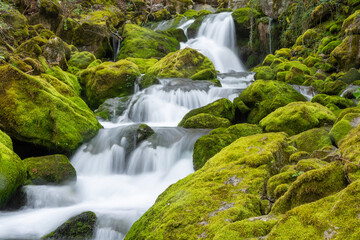 mountain stream to the Vase trail