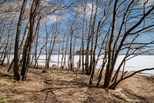 Spring view of the coast, Kopparo, Raseborg, Finland