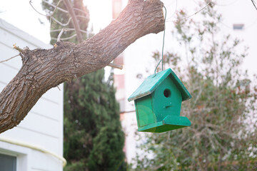 Green wooden birdhouse hanging on a tree