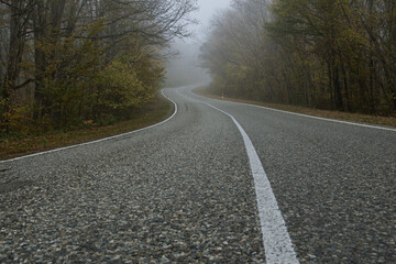 A country road curve with white lines of markings in an autumn forest. Asphalt road and forest in the fog. Mysterious landscape.
