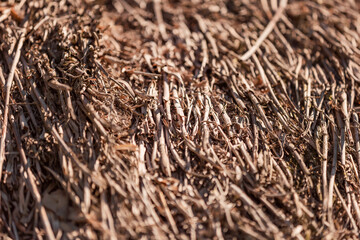 old thatched roof close-up as a background