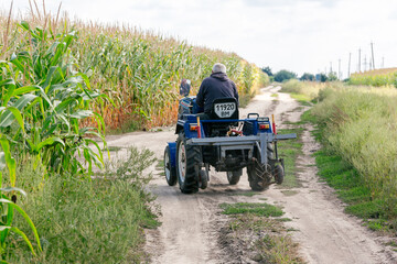 farmer on a small tractor in a cornfield