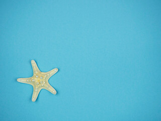 Fototapeta na wymiar Starfish on a blue background. Recreation Concept
