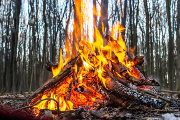 Campfire in the spring forest. Rest on the weekend. Danger of forest fires