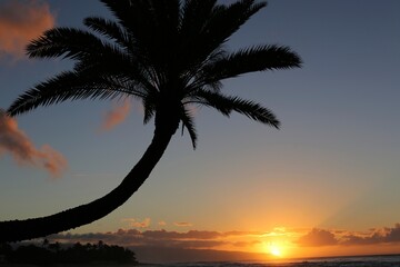 sunset on the beach