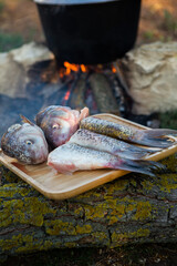 Fish soup prepared over an open fire. Cooking fish soup over an open fire in a kettle. Cooking in hiking tourism and fishing