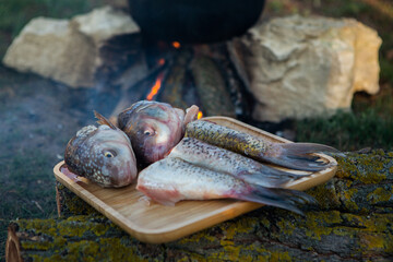 Fish soup prepared over an open fire. Cooking fish soup over an open fire in a kettle. Cooking in hiking tourism and fishing