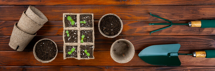 Transplanting flower seedlings into biodegradable peat moss pots. Zero waste, recycling, plastic free, gardening concept. Top view banner.