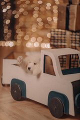 Samoyed puppy in the new year with lights, a Christmas tree, balls and a train