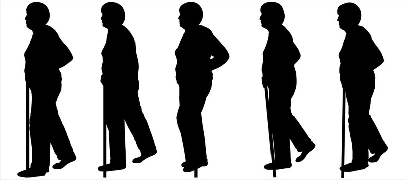 Older women walk in one line. An old woman walks leaning on a walking stick. Side view. A series of images is ready for motion animation. Five black silhouettes are isolated on a white background	