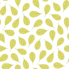Hand-drawn seamless pattern with leaves. Colorful floral illustration for paper and gift wrap. Fabric print modern design. Creative stylish background.