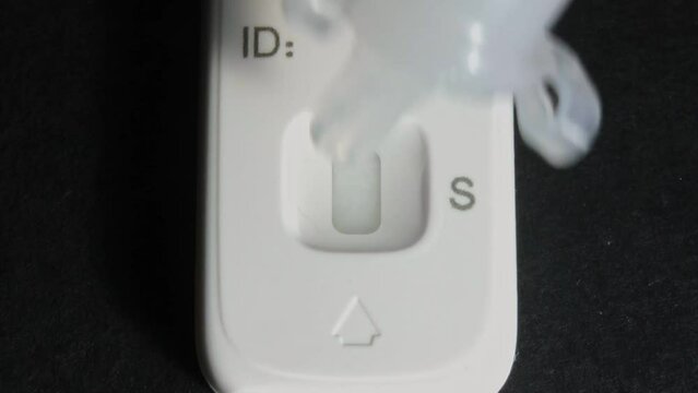 Coronavirus (COVID-19) rapid lateral flow test. Close up of drops in the test cartridge, withy test tube dropper.