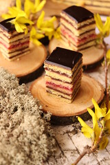 cake with leaves, chocolate cream, Easter decoration, spring, yellow flowers, Easter table