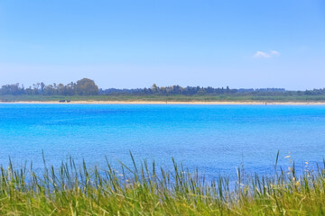Torre Guaceto Nature Reserve in Apulia, Italy: view of the beach and the dunes. Mediterranean maquis: a nature sanctuary between the land and the sea.