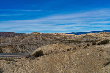 Tabernas desert, Desierto de Tabernas near Almeria, andalusia region, Spain