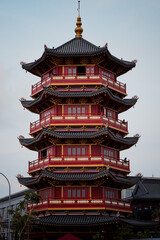 Fototapeta premium My Street Photography & Nature Escaping