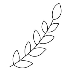 line Drawing Organic Leaf Flower for template, web, wedsite, application, presentation, Graphics design, branding, etc.