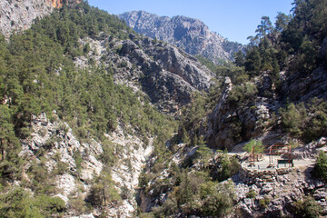 Goynuk canyon in Antalya , mountain and trees 