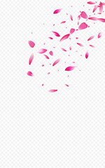 Delicate Flower Spring Vector Transparent
