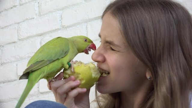Child Talk Parrot, Kid Playing her Pet, Young, Girl Bird Eating Apple Fruit, Funny Indian Ring-Necked Parakeet Birds Cage Family
