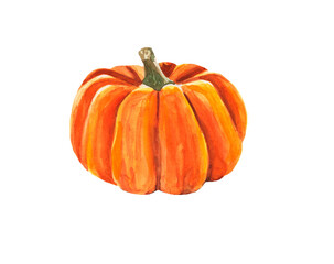 Watercolor pumpkin. Raster vegetable illustration for a cookbook, ingredients of recipes, advertising, cards for children and botanical magazines. Natural and organic agricultural product