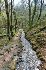 Canal des Chartreux au Glandier. (Corrèze)