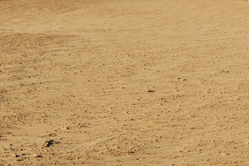 Australia Nambung National Park - Pinnacles Desert
