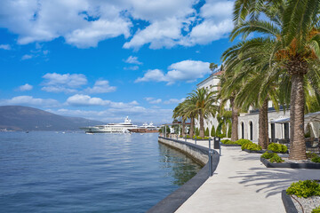 Luxurious promenade of Porto Montenegro with palm trees