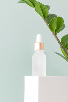 Glass cosmetic bottle with oil or serum for skin care on white square podium on blue background with green leaves. Natural skin care concept. Oily cosmetic pipette