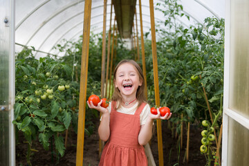 organic food. summer in countryside. growing vegetables in garden in greenhouse. happy child girl holding red ripe tomatoes on background of green plants.