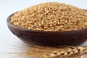 Wheat Bunch of wheat ears, dried grains in wooden bowl on white background. Cereals harvesting, bakery products