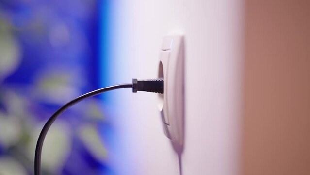 Plug in and plug out of electric outlet thin black cable close-up 4K