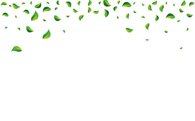 Forest Foliage Abstract Vector White Background.