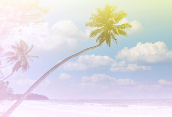 Fototapeta na wymiar The tropical banner with Summer Vintge Palm Trees Vintage - cloud sky summer tropical summer image background