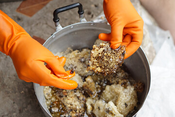 ็็Hands wears gloves hold piece of beehive in the pot, select out bee insects from beehive, prepare for cooking or process of making honey. Local Thai style of cooking.                     