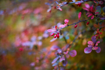 Wunderschöner Lungernsee im Sommer, Schweiz