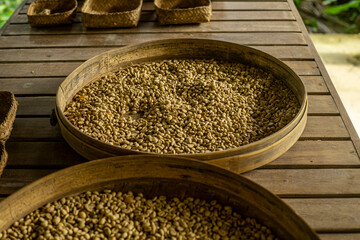 Green coffee beans  in a wooden bowl