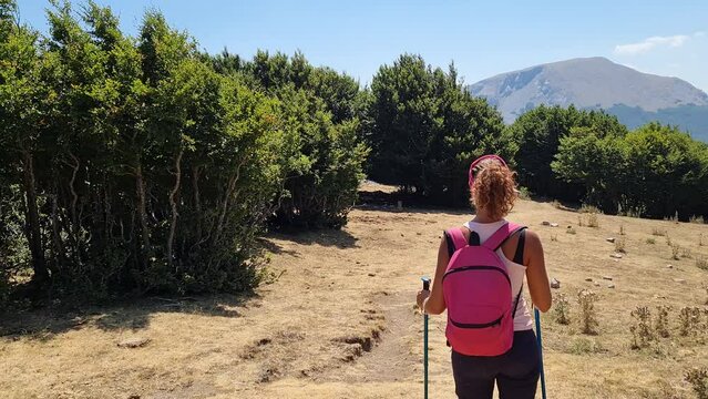 Young woman walking with backpack in Pollino National Park on summer sunny day, Italy 