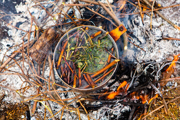 Survival in wild nature. Campfire background. Pan with cherry tea sticks over fire. Cooking tea...