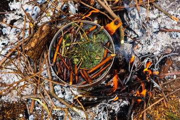 Survival in wild nature. Campfire background. Pan with cherry tea sticks over fire. Cooking tea drink at fire in wild.