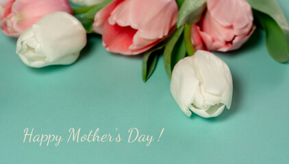 Mothers day card. Tulips white pink blurred flowers on turquoise background closeup macro