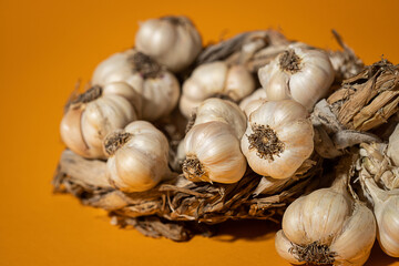 Fragrant Garlic wreath lies on yellow background. Agriculture and farming