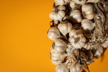 Fragrant Garlic wreath lies on yellow background. Agriculture and farming