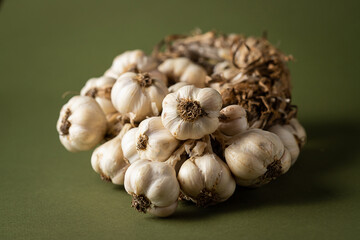 Fragrant Garlic wreath lies on olive background. Agriculture and farming