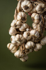A woman's hand holds a fragrant garlic wreath lies on an olive background. Agriculture and farming