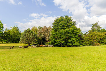 Fototapete bei efototapeten.de bestellen   