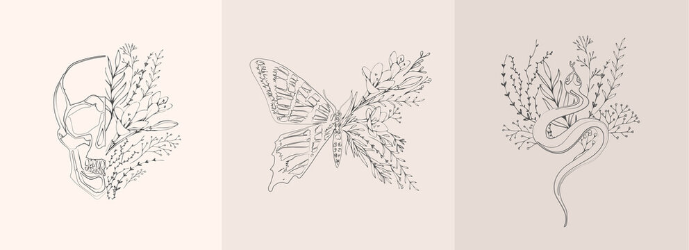 Half shape butterfly, snake and skull with branch and flowers for tattoo t-shirt print or wall art. Hand drawn wedding herb. Botanical rustic trendy greenery. Vector